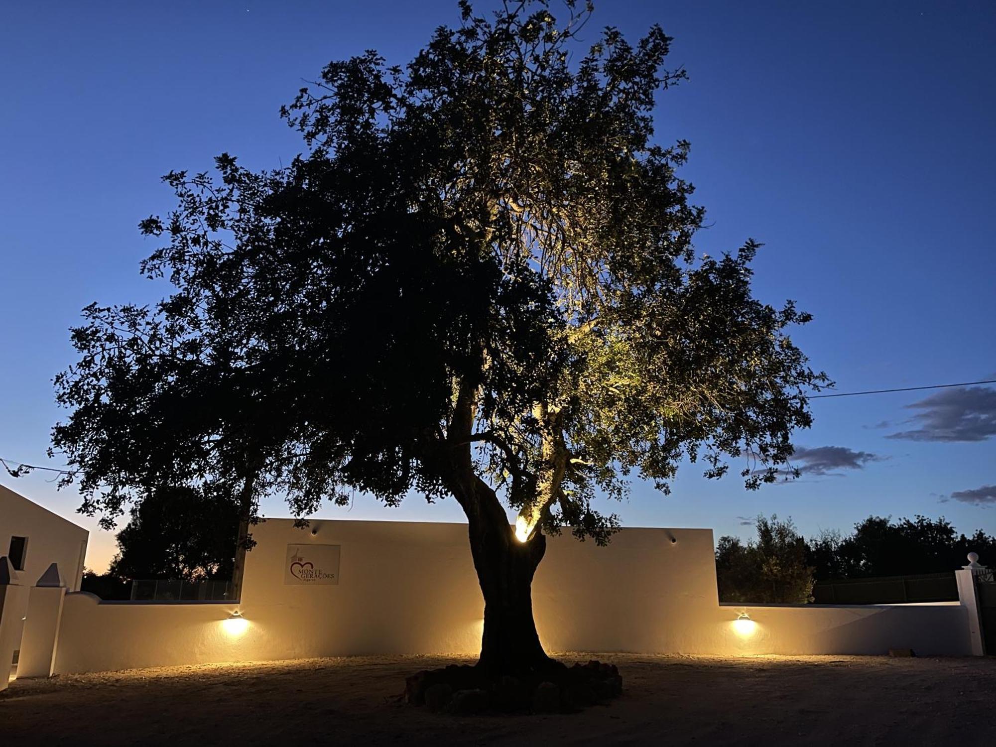 Monte Geracoes - Heated Pool - Typical Algarvian - Close To Quinta Lago, Vale Lobo And Vilamoura Almancil Εξωτερικό φωτογραφία